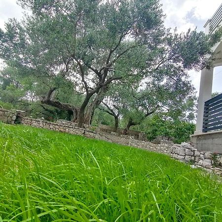 Vila Dolani 클레크 외부 사진