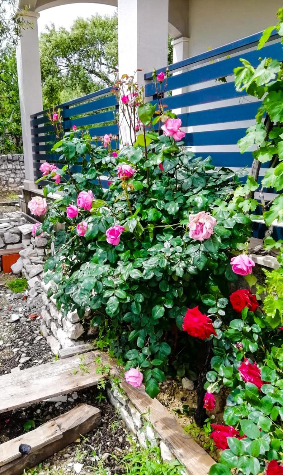 Vila Dolani 클레크 외부 사진