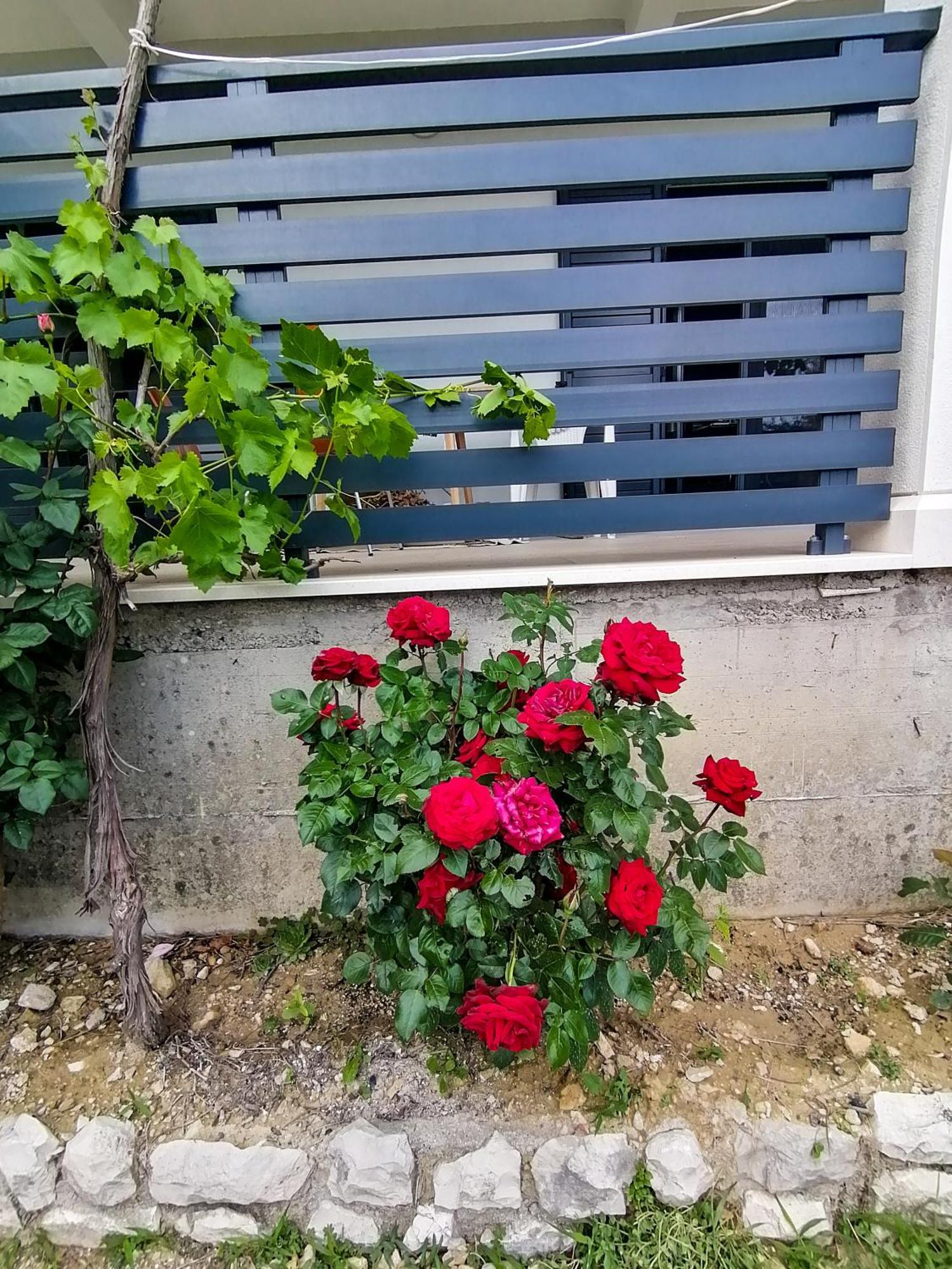 Vila Dolani 클레크 외부 사진